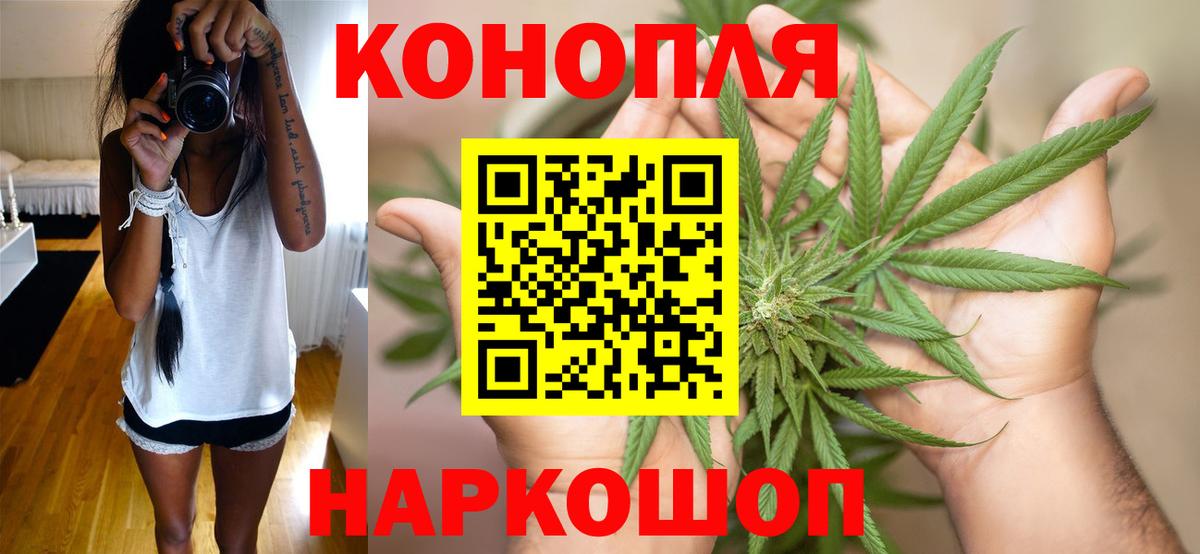 Бошки Шишки тримм  Конопля план  Вход с VPN  Бошки Шишки конопля  Марихуана Ganja  Лысьва 